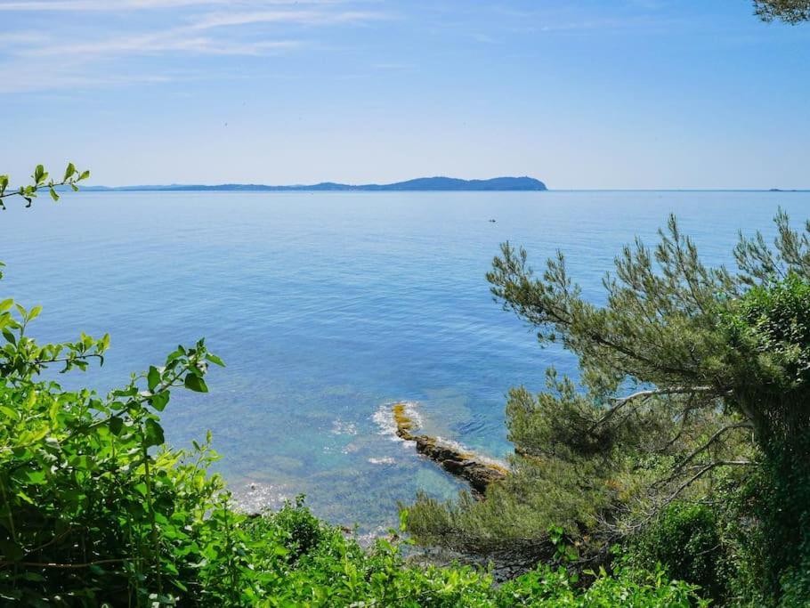 Maisonnette Avec Vue Sur La Mer Exceptionnelle Carqueiranne Exterior foto